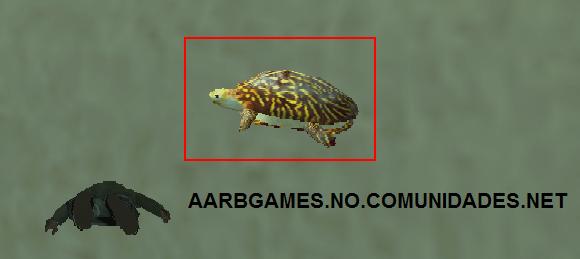 Tartaruga, AARBGAMES